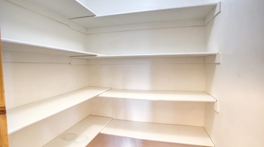 Paxmanphoto_PAX_6743