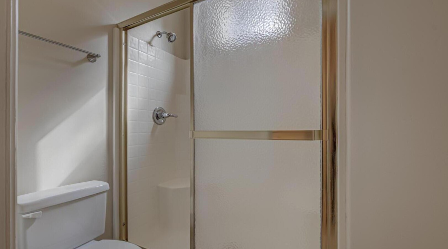 Hall bathroom shower