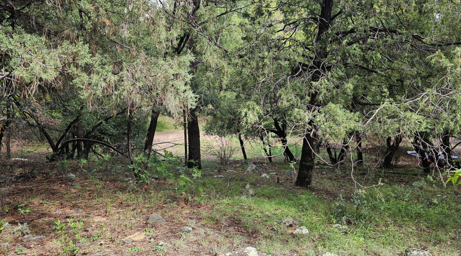 Whispering Pines Land