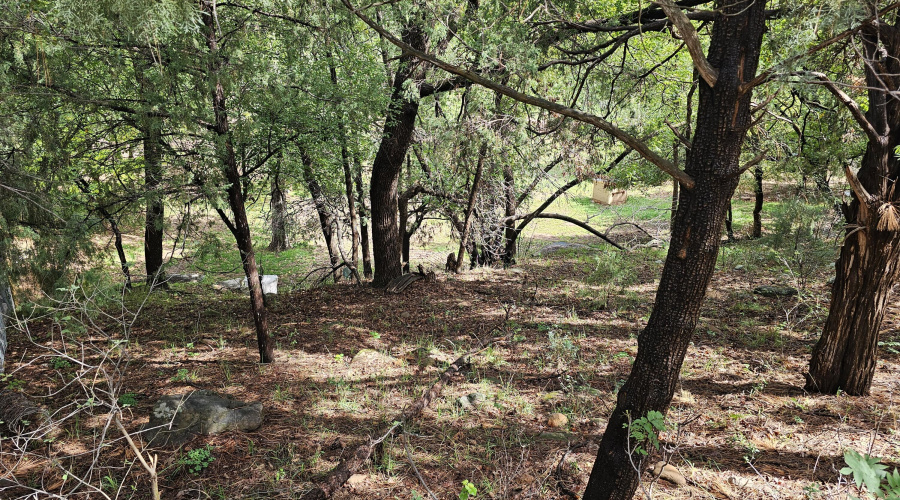 Whispering Pines Land