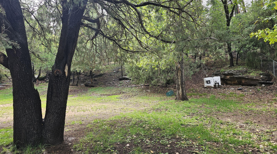 Whispering Pines Land