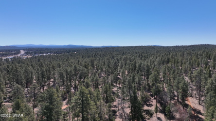 152 The Rim, Lakeside, Arizona 85929, ,Land,For Sale,The Rim,240671