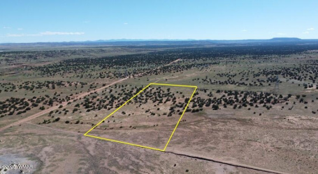 005 N9119, Concho, Arizona 85924, ,Land,For Sale,N9119,258320