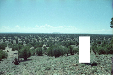 27 9204, Concho, Arizona 85924, ,Land,For Sale,9204,258321