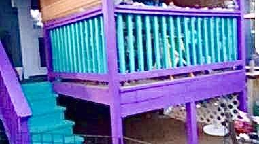 Resized_Screenshot_20251012-132412_Photo