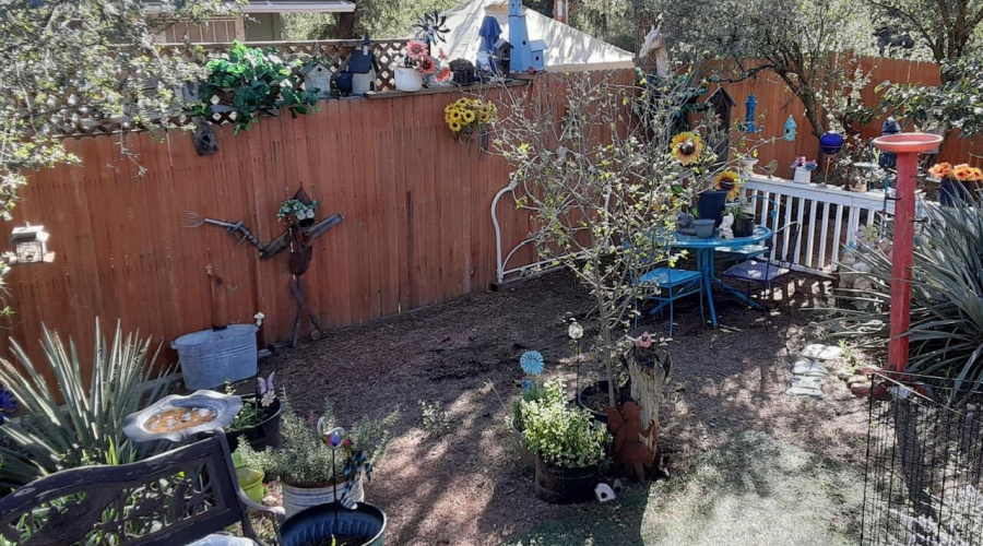 Resized_20251017_145433