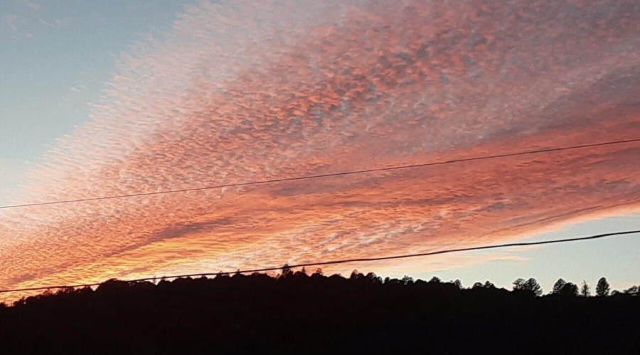 Resized_20231108_173323_327999356505627