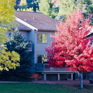 Fall