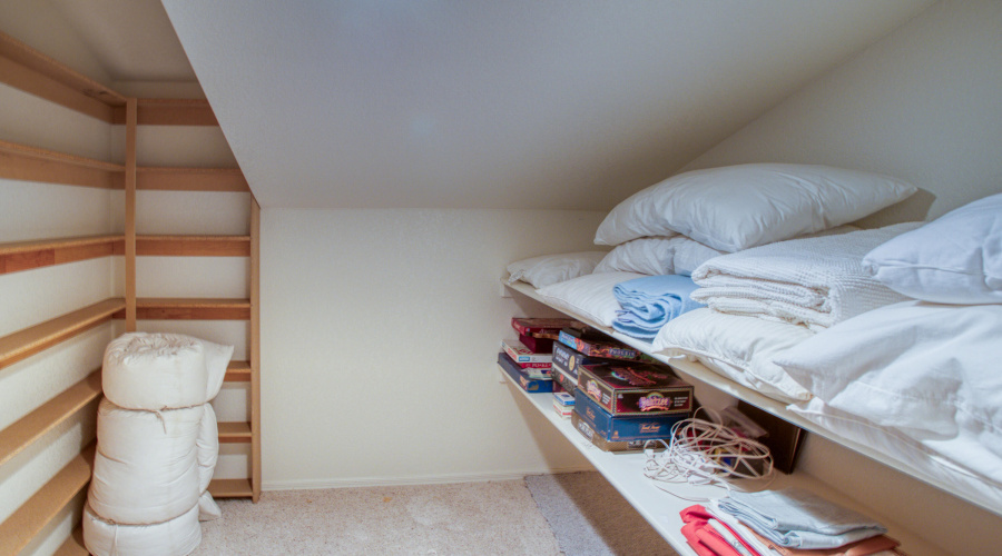 Paxmanphoto_PAX_6773