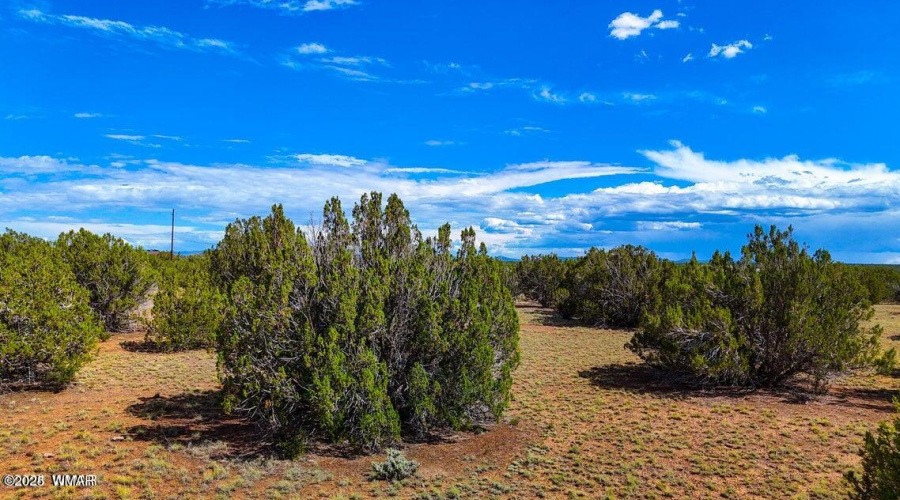 20240707231747753919000000-o (1)