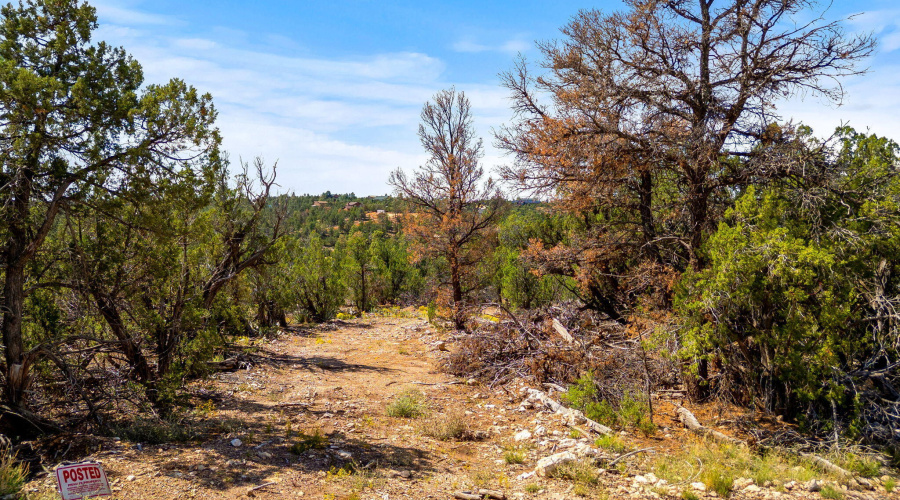 3656ZaneGreyTrl-HeberOvergaard-AZ-2