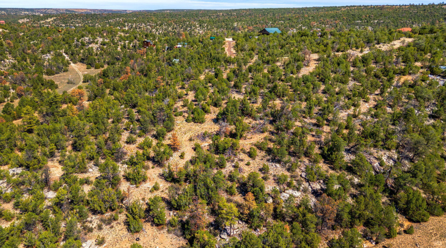 3656ZaneGreyTrl-HeberOvergaard-AZ-6