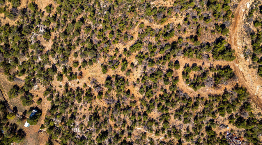 3656ZaneGreyTrl-HeberOvergaard-AZ-7