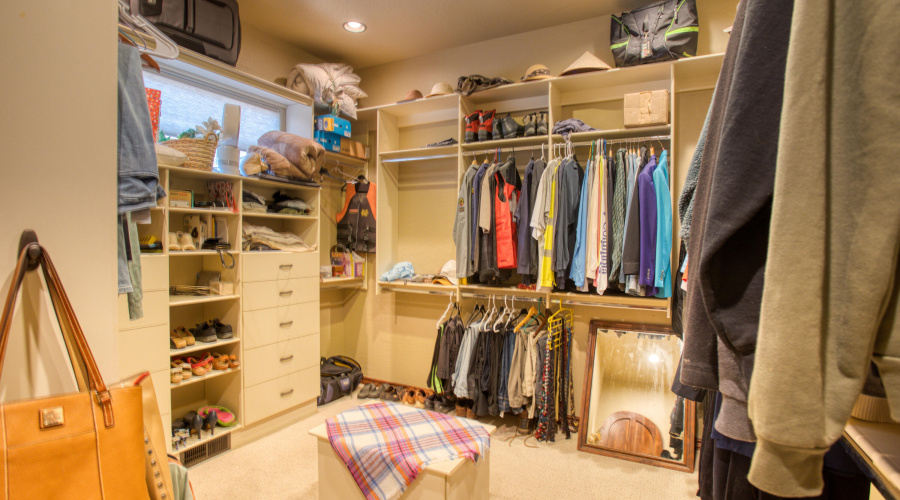 Paxmanphoto_PAX_7213