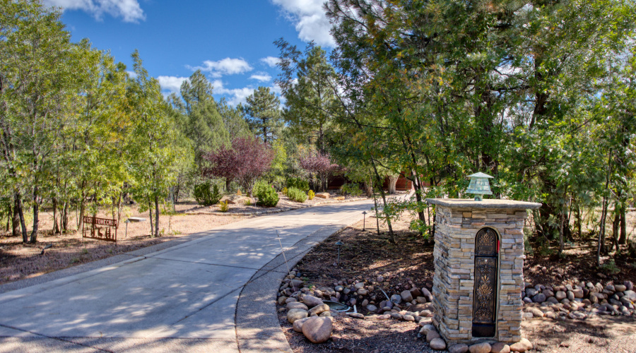 Paxmanphoto_PAX_7352