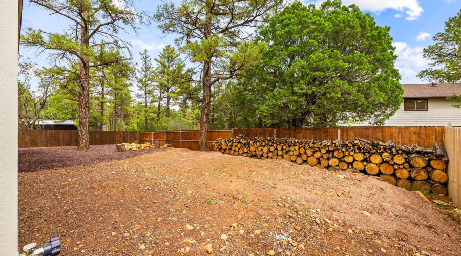 201NCanyonLoop-ShowLow-AZ-25