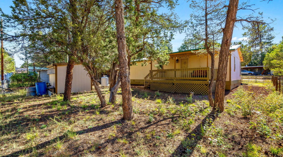 2064PinewoodDr-HeberOvergaardAZ-30