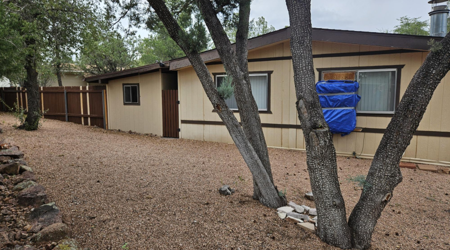 rear of house and back yard