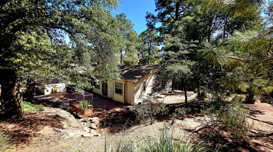 20251017_113320_resized