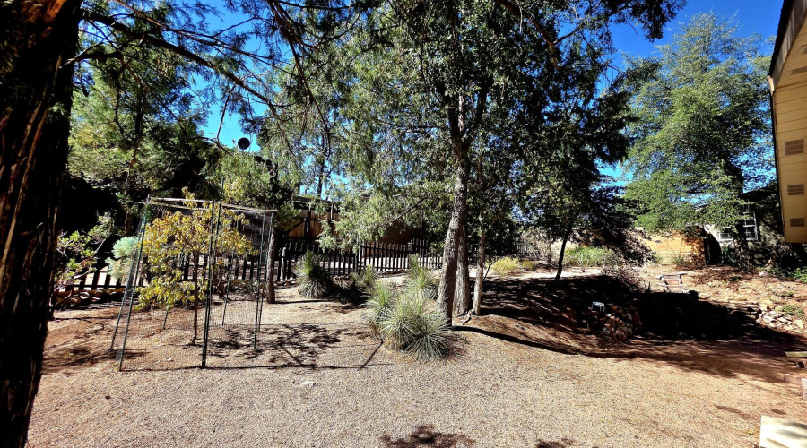 20251017_114007_resized