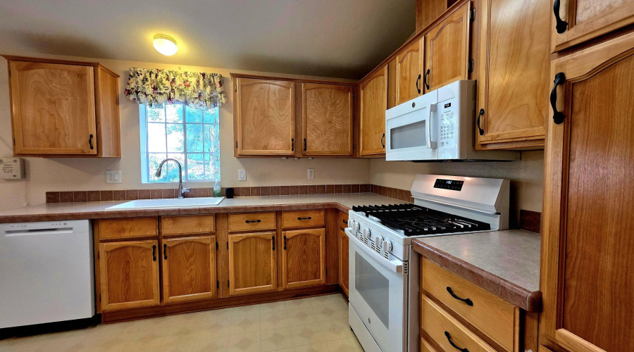 2-20251017_115436_resized