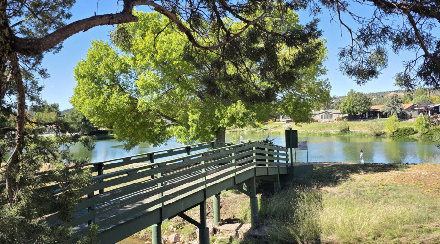 20251017_120340_resized