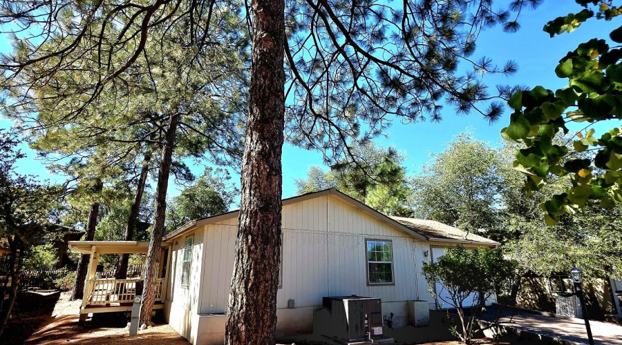 4-20251017_113003_resized