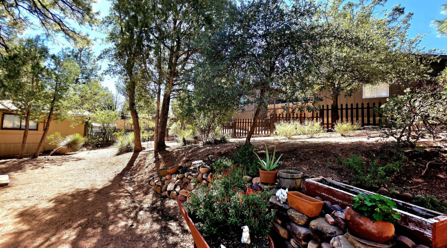 20251017_113154_resized