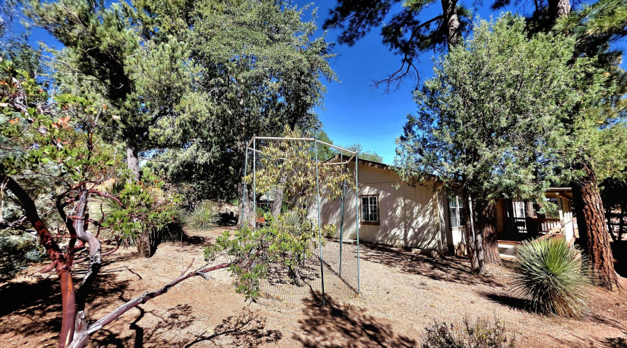 20251017_113239_resized