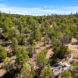 3656ZaneGreyTrl-HeberOvergaard-AZ-1