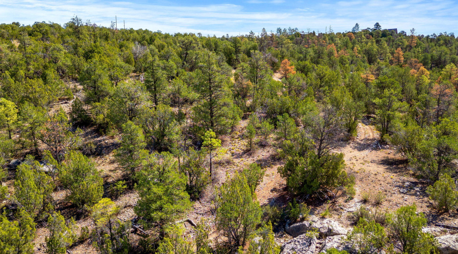 3656ZaneGreyTrl-HeberOvergaard-AZ-1