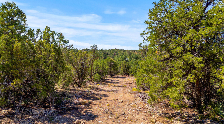 3656ZaneGreyTrl-HeberOvergaard-AZ-3