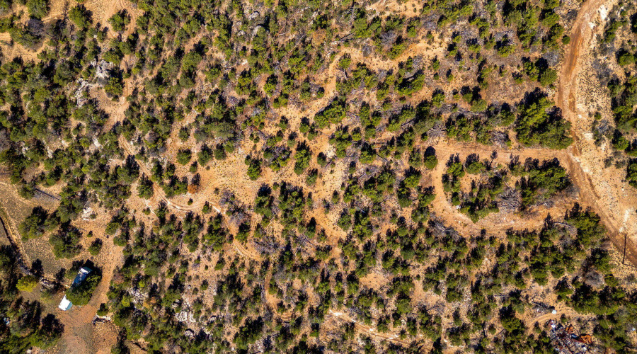 3656ZaneGreyTrl-HeberOvergaard-AZ-7