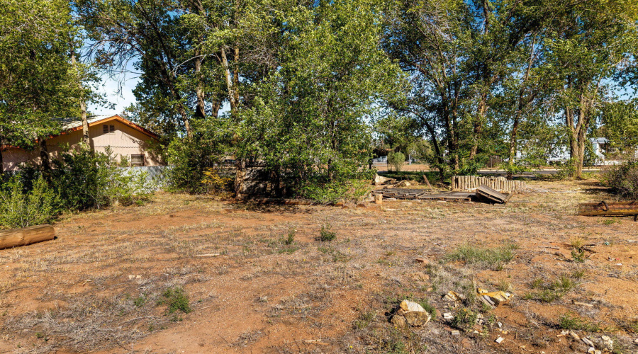 107NZuniSt-SpringervilleAZ-4