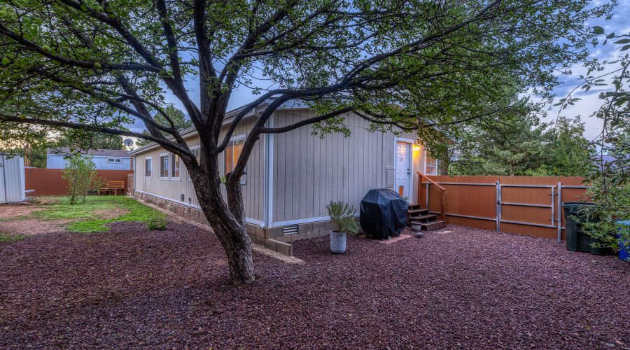 Backyard and Side Yard