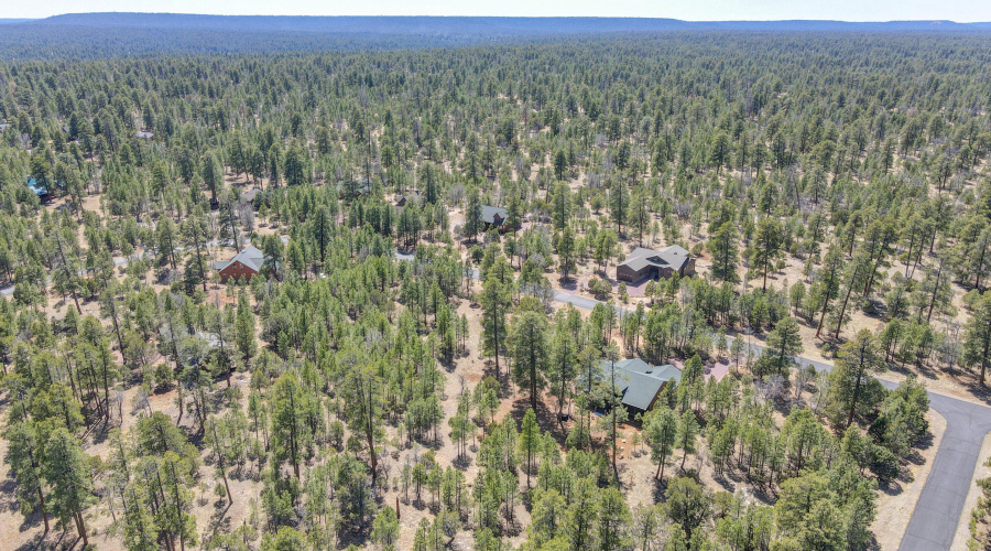 mls-DJI_0990_1_2 copy 2