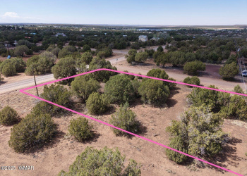 1819 Silver Lake Boulevard, Show Low, Arizona 85901, ,Land,For Sale,Silver Lake,258368
