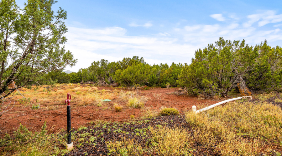 10673003A-Vernon-AZ-3