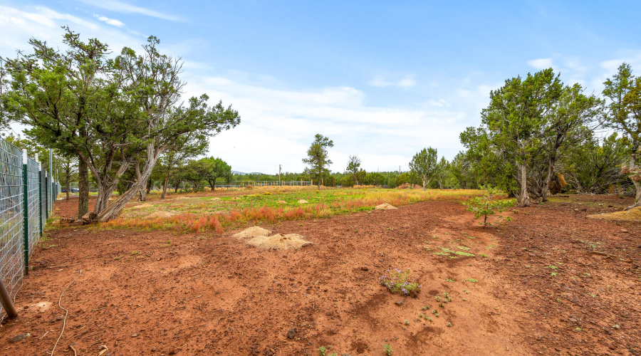 10673003A-Vernon-AZ-5