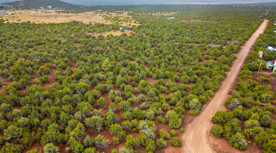 10673003A-Vernon-AZ-9