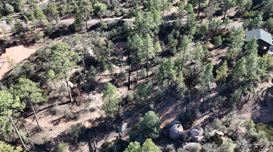 DJI_20251015151432_0031_D