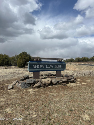 471 Rockcreek Drive, Show Low, Arizona 85901, ,Land,For Sale,Rockcreek,257928