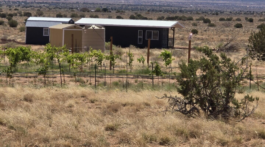 Cargo home and 2nd well