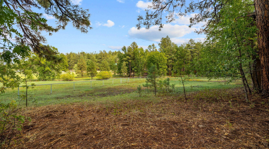 Fenced Yard Surrounded by Trees