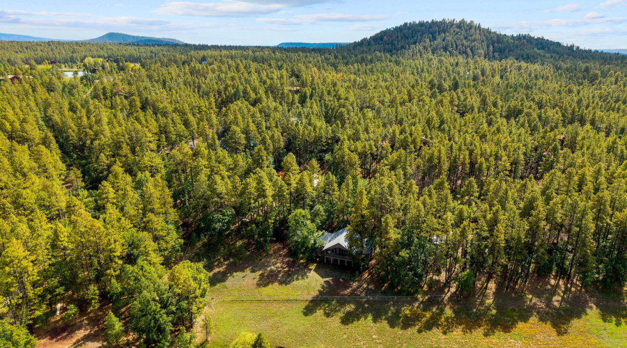 Aerial View of Community