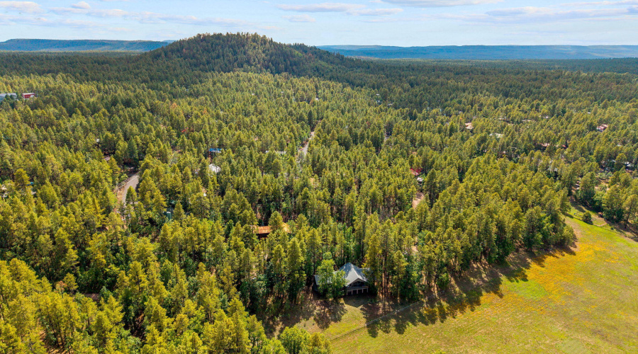 Aerial View of Community