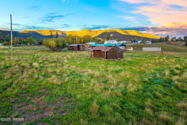 2 Co Rd 2055, Alpine, Arizona 85920, ,Land,For Sale,Co Rd 2055,258377