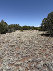 29A County Road 8339, Concho, Arizona 85924, ,Land,For Sale,County Road 8339,258378