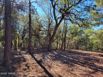 6630 West Drive, Show Low, Arizona 85901, ,Land,For Sale,West,258390