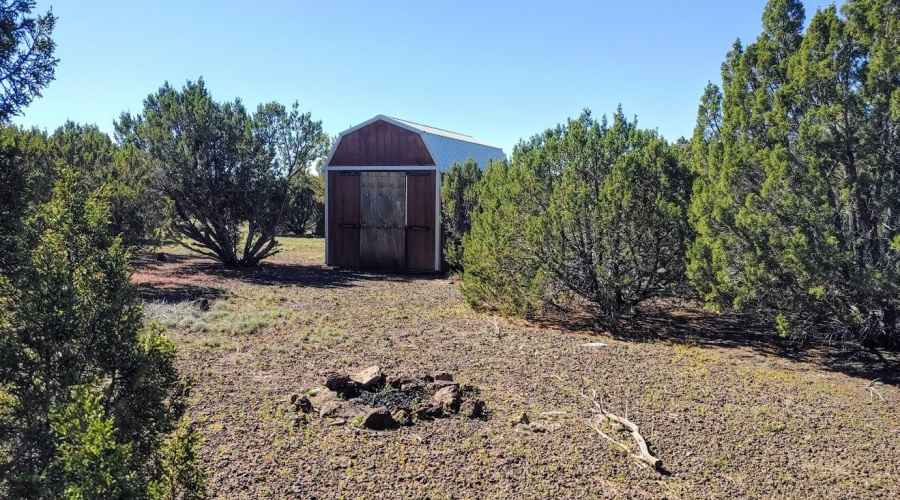 fire pit behind shed